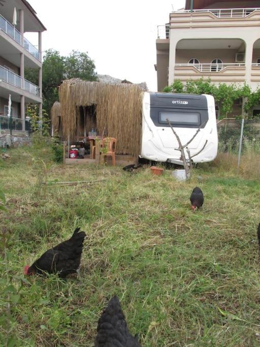 Cinar Karavan Campsite Marmaris